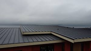 Steel Roofing in Chincoteague, VA